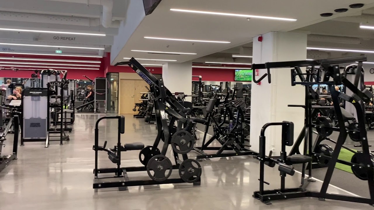 GOGO Express Mukkula Club Manager Cam