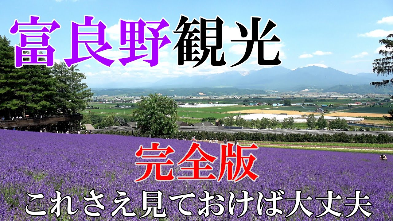 【２０２４年 北海道 富良野】絶対外せない観光スポット をお届けします　４K
