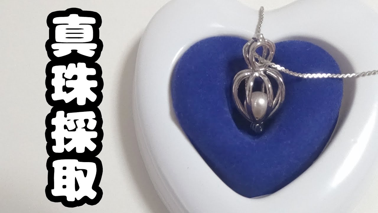 Diy 真珠缶から真珠を採取してネックレスを作ろう オリジナルアクセサリー作り Youtube