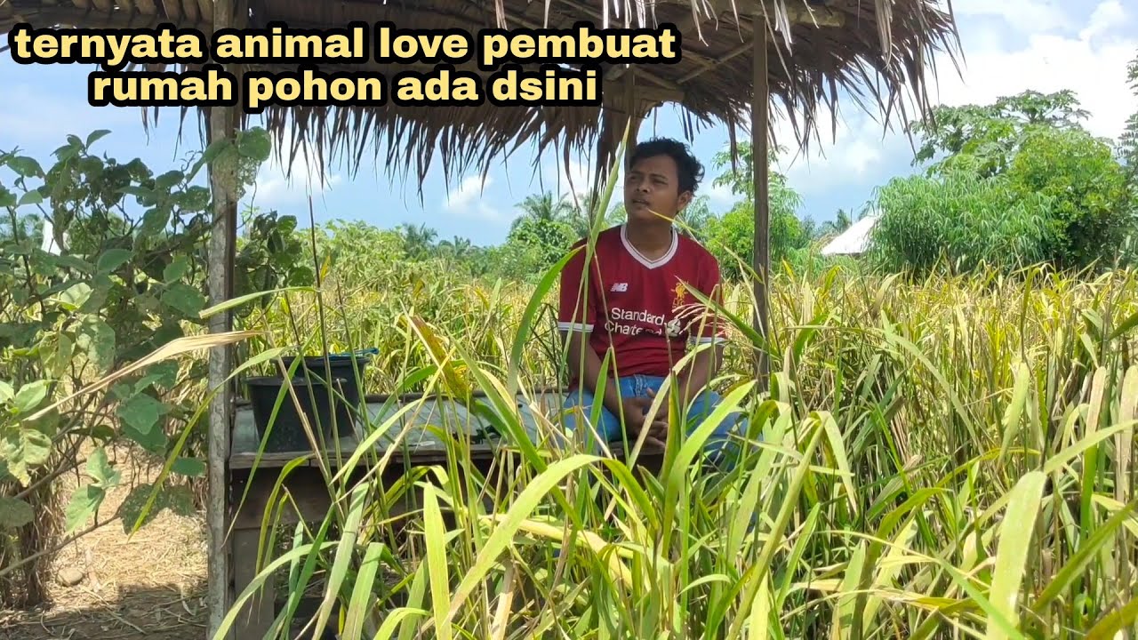 ANIMAL LOVE || TERNYATA BEGINILAH KEADAAN OM FIKRI SEKARANG