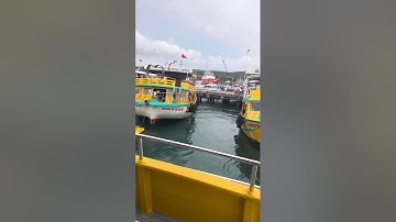 Đi câu mực tại An Thới - Phú Quốc#caodangnghe #caodang