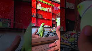 Smac vs Parrot | Epic Dance Battle#parrotvoices