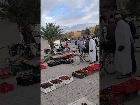 طررررر طررررر طرررررر علاش هد الطرطير ميدرخش فبلادتهم جين يصدغونا وخلعنا واليدنا