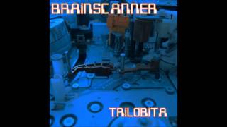 Brainscanner - Wires