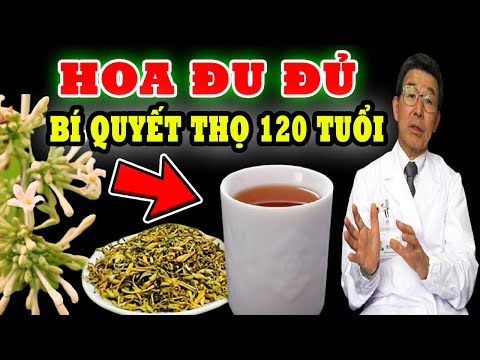 Video HOA ĐU ĐỦ Vị Thuốc Quý Trời Ban, TỐT GẤP VẠN LẦN NHÂM... - youtube