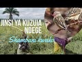Namna Ya Kufukuza Ndege Shambani