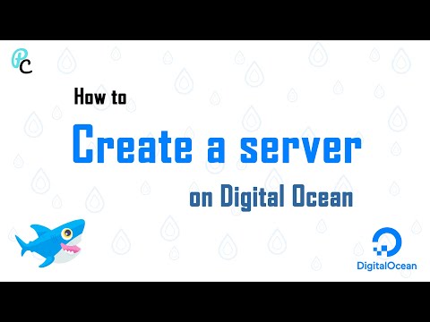 How to create a cloud server/droplet on Digital Ocean and connect a Domain || 2020