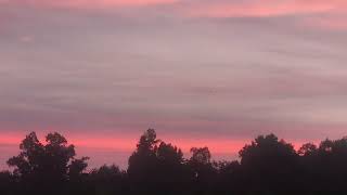 Sunset 260810