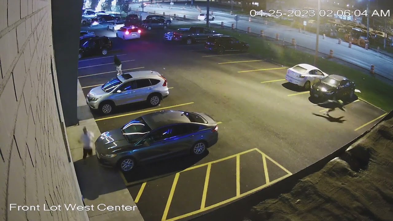 Shooting captured by surveillance camera in Parma