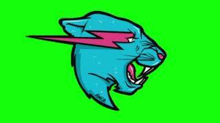 Mr Beast Logo With Green Screen