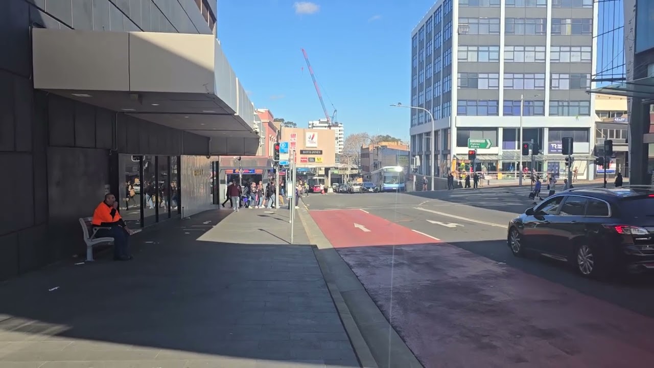 Rodent Control Wollongong