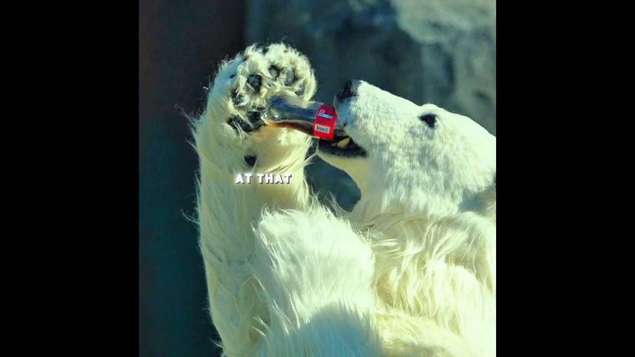 The Polar Bear Drank Soda and the Internet Went Crazy! 🐻🥤