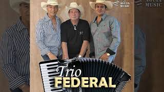 Trepadeira - Trio Federal