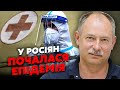 ❗️Терміново! В УКРАЇНУ ЗАНЕСЛИ СМЕРТЕЛЬНУ ХВОРОБУ З РФ. Жданов: у Бердянську почалося, там біда