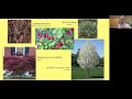 Native Plants and Your Landscape