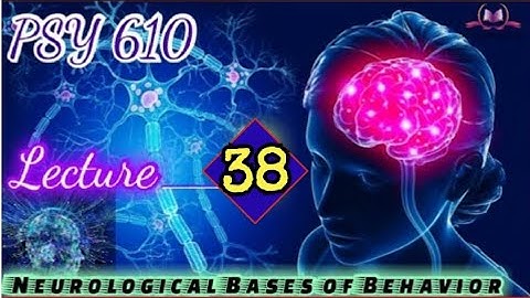 PSY610 || Lecture 38 || Neurological Bases of Behaviour || Short Lecture || VU Lectures