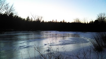 Rage 2: Double Cross- General Cross