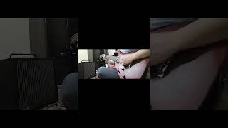 Gangstas Paradise Guitar - Cover