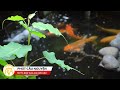 Phút Cầu Nguyện | Thứ Tư 29/04/2026: Tất cả để làm vinh danh Chúa