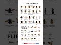 Types of bees #shorts #viral #bees