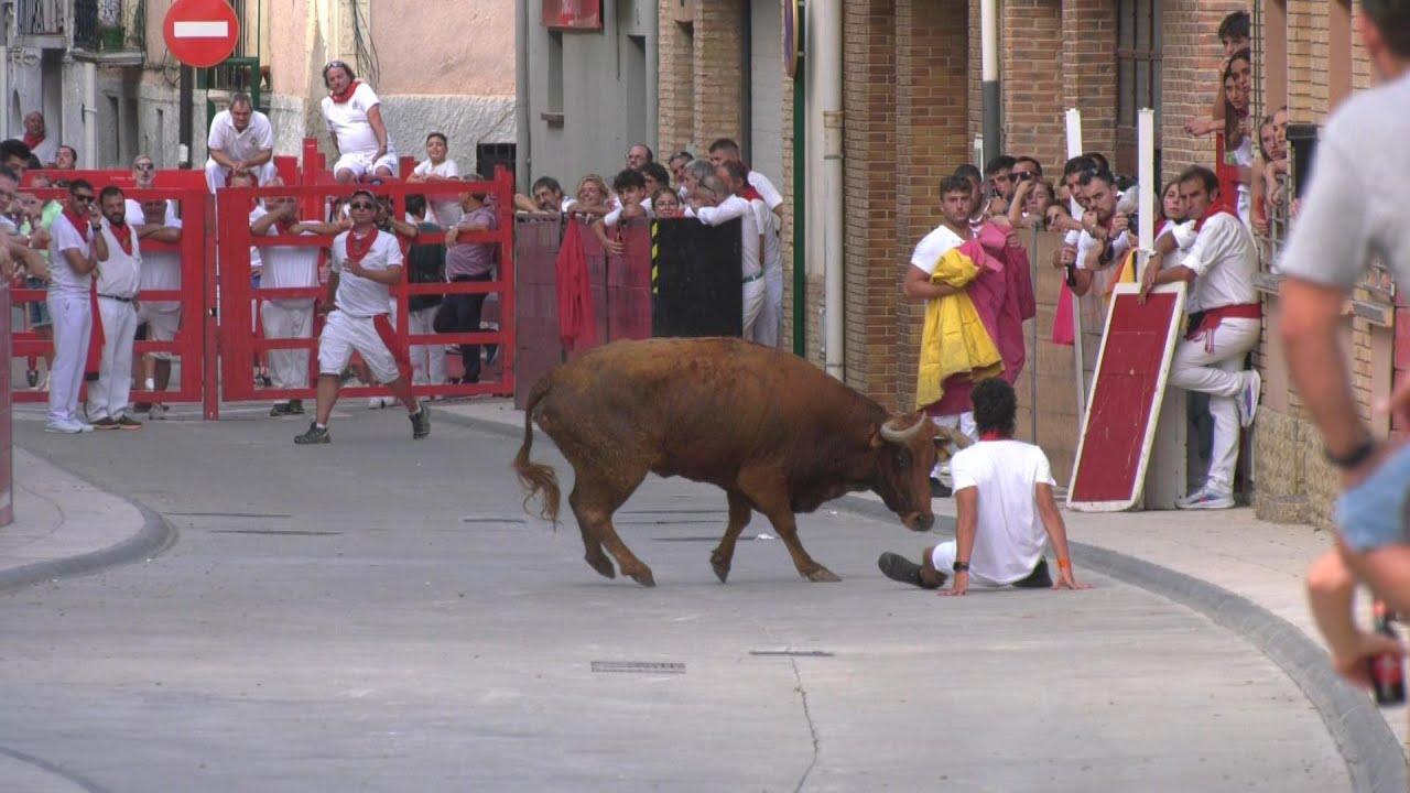 Tv Marcilla - 24/08/2025 - Desencajonamiento.