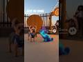 Lizzy the Yorkie | Sparkflick Perfects Spark Beam