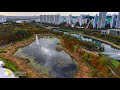 여전히 아름답다...😍😍[가을감성] 안산 호수공원[4k][2025.10.22] #mini5pro #가을단풍 #안산호수공원 #drone #Feelings #가을감성