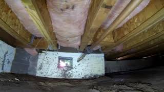 Crawlbot crawlspace inspection 1