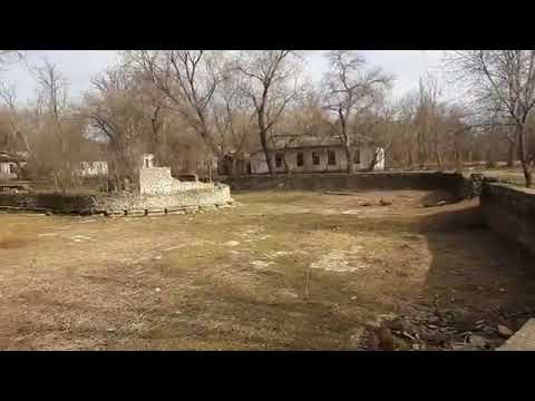 Сакский курортный парк пришёл в запустение и упадок