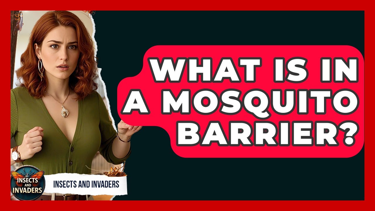 What Is In A Mosquito Barrier? - Insects and Invaders