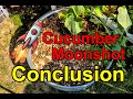 Cucumber Moonshot Finale: What We Learned