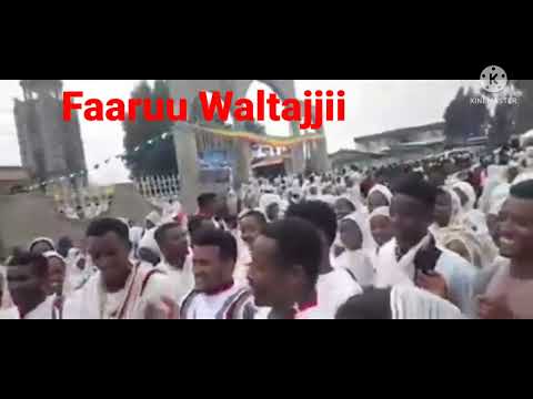 Faaruu Walajjii Kana Daawwaa Dhaa Waggaan Ayyaana Waggaa Kan Jedhu
