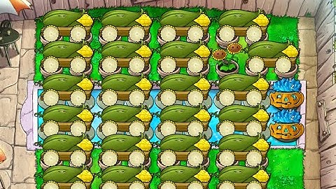 Front 24 Cob | Survival Endless