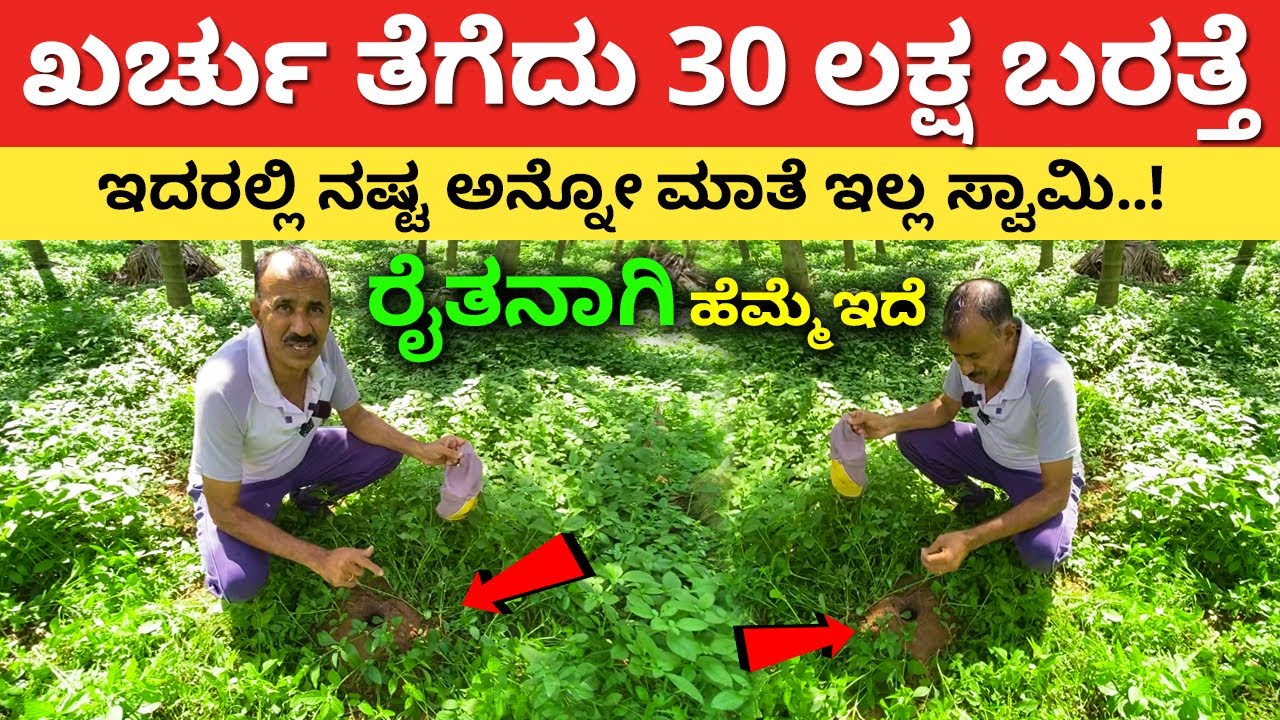 ಈ ರೀತಿ ಮಾಡಿದ್ರೆ ನಷ್ಟದ ಮಾತೆ ಇಲ್ಲ | Modern Farming in Karnataka farming business ideas Krushi 
