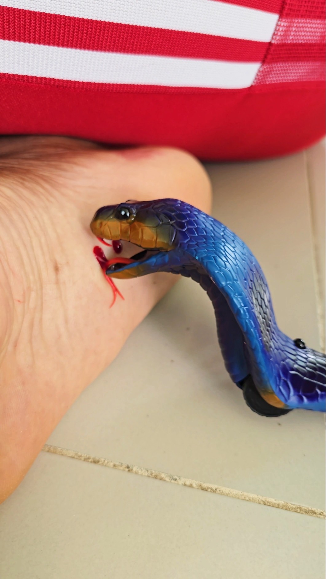 Attack Snake??
