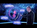 Структура человека: тело, душа, дух, совесть (Сергей Тармашев. Спецвыпуск #2)