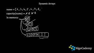 Celebrity Introduction to Dynamic Arrays | Understanding Memory Allocation and Resizing Wealth