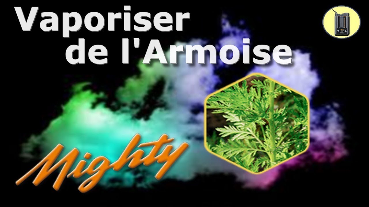 Comment Vaporiser l'Armoise (Artemisia Vulgaris ) +TEST vapeur, Vaporisateur Mighty, Avis