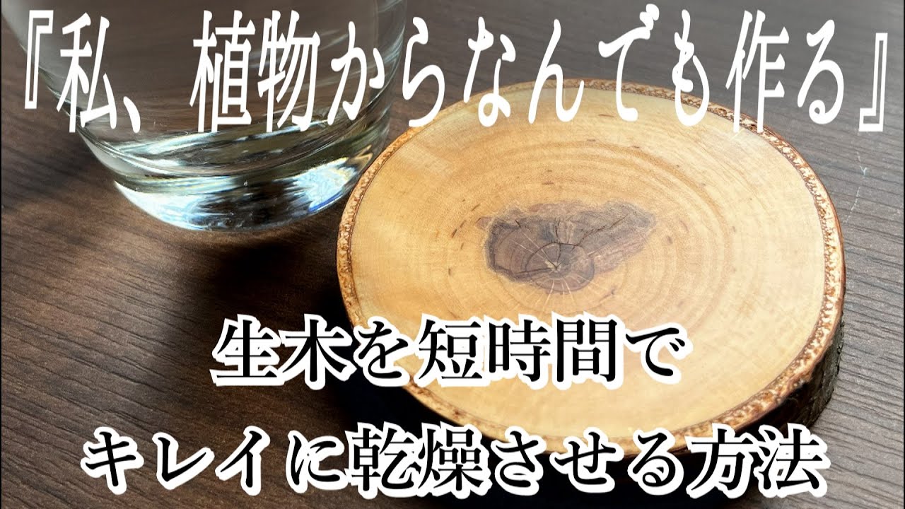 水中乾燥】生木を短時間で乾燥させる｜短期間で簡単｜シラカバ