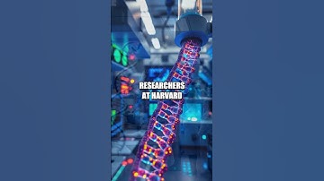 The Unveiling of DNA Data Storage