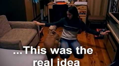 Clicker training - part 1