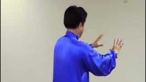 Wu(Hao) Tai Chi Demo Form
