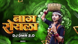Baag Roye La | Rela Paar | Cgdjsong | Relo Geet | DJ DMR RMX 