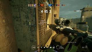 Jackal ace on border