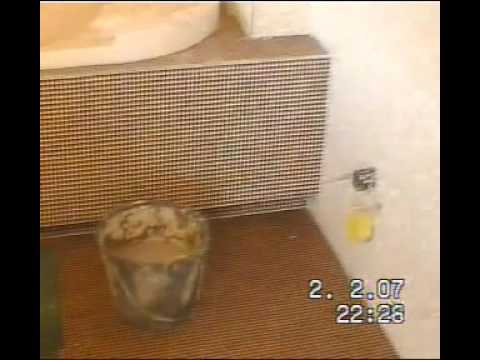 Piastrellista posa mosaico bisazza bagno youtube Posa piastrelle mosaico
