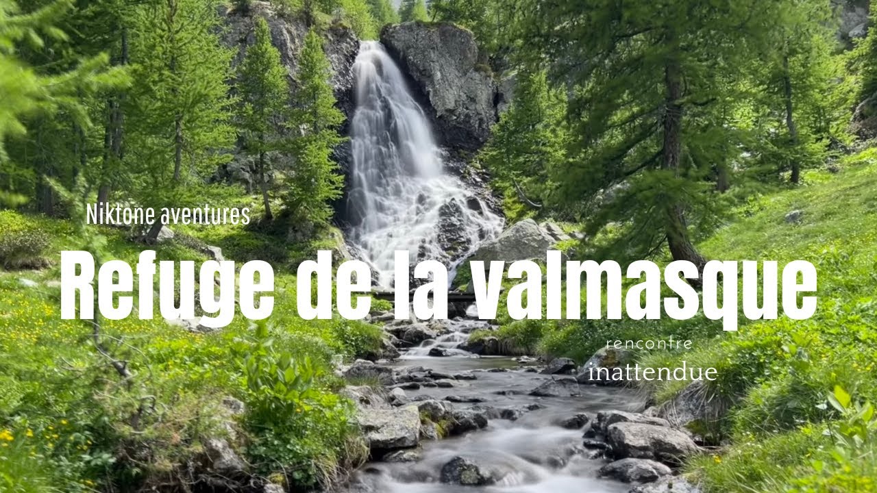 Rencontre et amitié inattendue au sommet