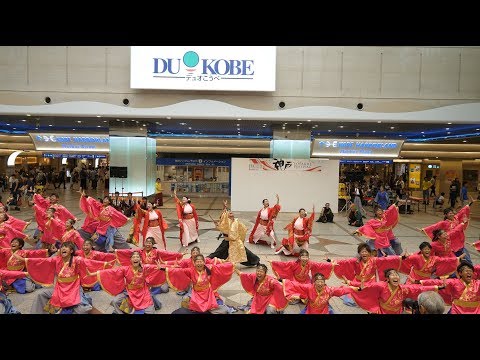[4K] 同志社大学京都よさこい連 心粋 『縁り』 神戸よさこい2018 デュオ神戸会場
