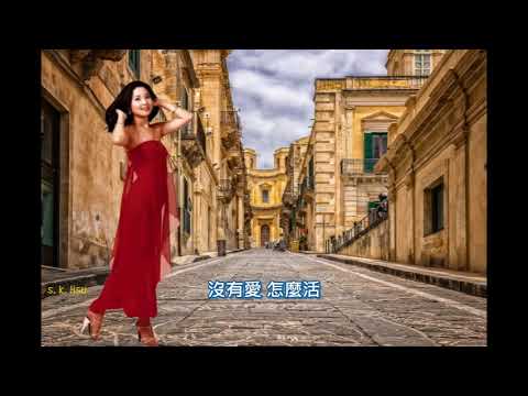 鄧麗君_沒有愛怎麼活1976年新加坡演唱會現場錄音(加中文歌詞)