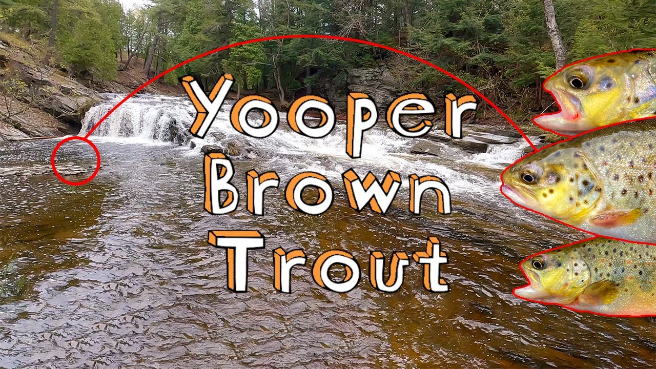 tobacco river michigan fishing Fishing For Brown Trout Under a Waterfall in Michigan’s Upper Peninsula
