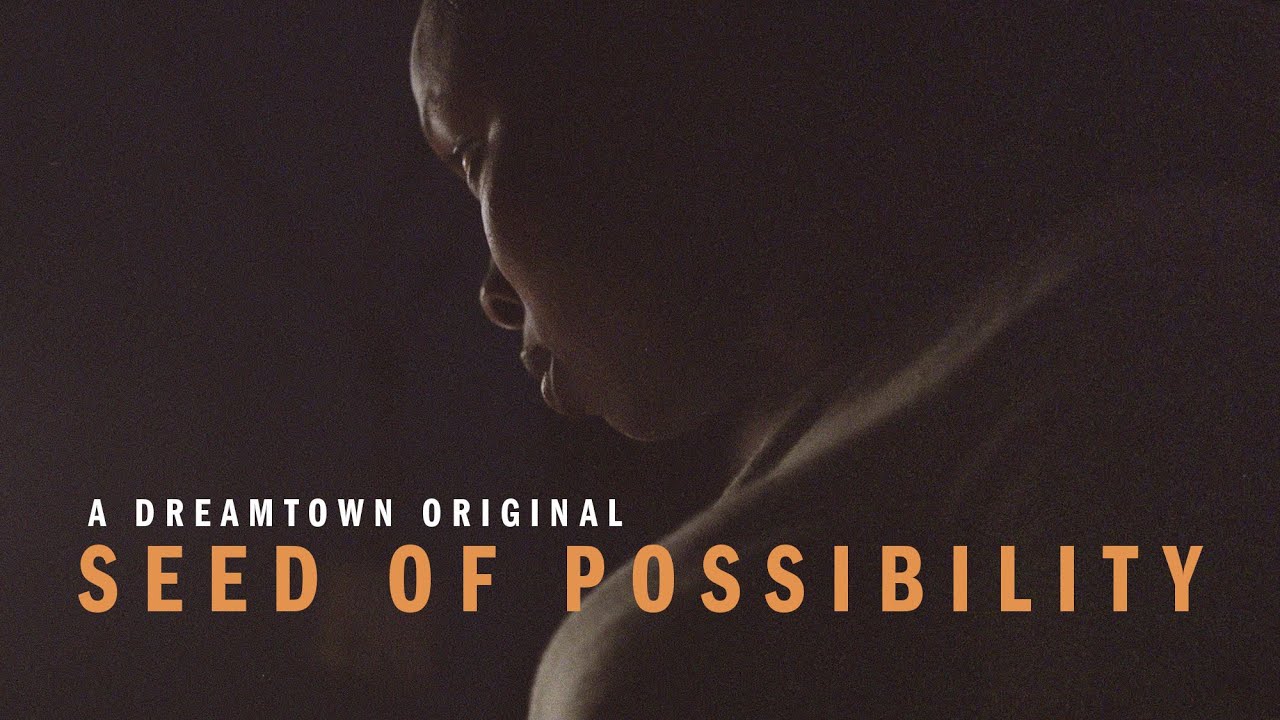 The Seed of Possibility // A Dreamtown Original